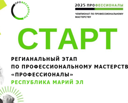 Cтартовал региональный этап Чемпионата профессионального мастерства «ПРОФЕССИОНАЛЫ»!